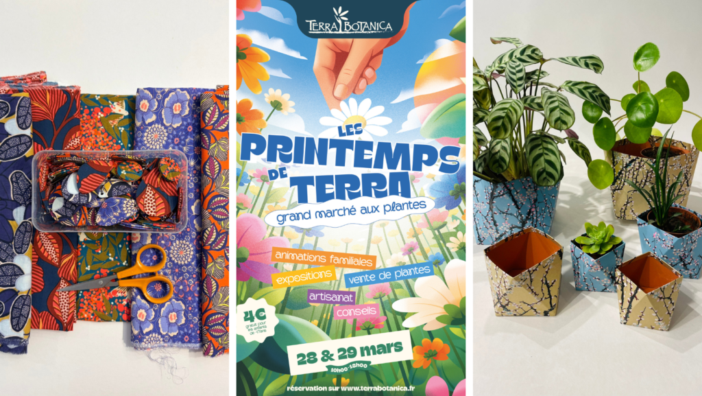 Exposition Nathanaëlle Perchais Cartonniste, Les printemps de Terra 2026